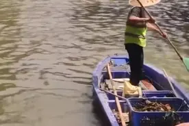 云辟谣丨崇州鱼跃与地质灾害有关？专家：缺氧或人为惊扰所致图片
