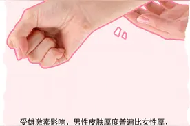 漫画科普：皮厚有什么好处——防磕碰！图片