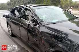 借用对向车道强行超车，酿事故担全责图片