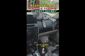 男生大学毕业，跨越5000公里带9只猫回家图片