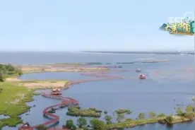 映日荷塘添秀色 大江南北山青水绿好风光图片