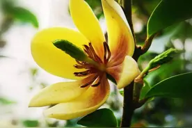 怀念我的爷爷图片