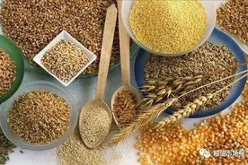 【副刊·美文】祖母的粮食图片