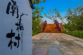 农田变成露营地 家门口也有诗和远方图片