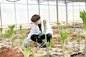 昆明学院师生田间地头写“论文”图片