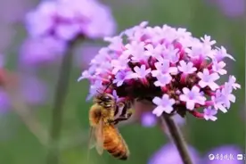 青未了｜再见！上半年；你好！下半年图片