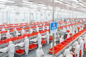 河南，正在进行一场万亿级产业“大考”图片