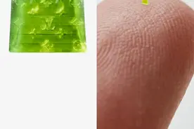 63750美元！“比盐粒还小”的微型手提包拍卖成交图片