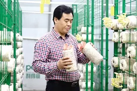 点赞新农人 | 农民程慕国的“菌菇梦”图片