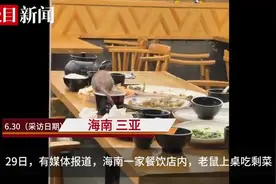 餐馆里老鼠爬上餐桌觅食，记者调查发现事发三亚，涉事店面已被要求停业图片