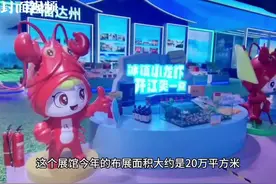 Vlog｜借助西博会走向全球 四川达州“振兴之路”越走越宽图片