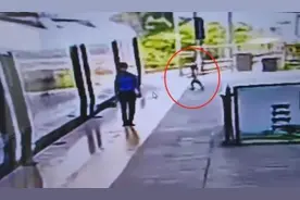 惊心一幕！列车车门即将关闭时 5岁男童突然跑出车厢图片