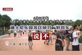 上海迪士尼新规第一天，游客：路都宽了图片