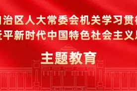 刘有明出席《关于支持龙州生态氧化铝综合利用项目建设的建议》督办工作推进会图片