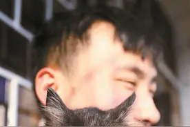 “七仔”找妈妈 猫咪救助站的故事图片