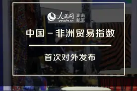 海报｜中国-非洲贸易指数首次发布图片