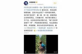 不用求助“拍瓜师”，西瓜甜不甜，看这里就知道！图片