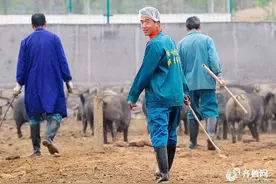 广阔天地，大有可为——山东青年“改造”乡村进行时图片