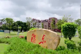 快闪活动庆“七一”，穗东街唱响《我和我的祖国》图片