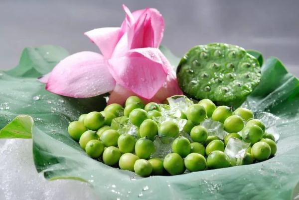 野生灵芝的用途和吃法（盛夏时节宁可不吃肉）