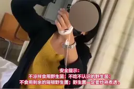 又到吃菌季！“防毒”指南了解一下……图片