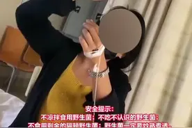 又到吃菌季！“防毒”指南了解一下……图片