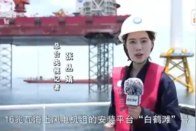 超大“风车”吊装成功，打卡我国投运最大海上风电机组图片