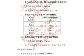 2023年武汉中考分数线公布，7月3日、4日可申请成绩复核图片