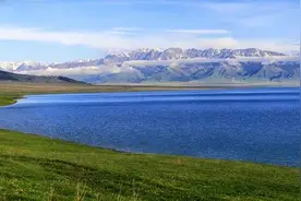 夏季补阳气，要喝姜枣茶图片