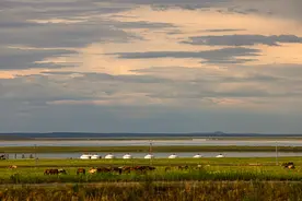 （美丽中国）呼伦贝尔大草原夏日即景图片