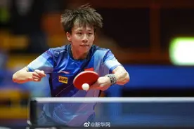 林高远4比3战胜樊振东夺冠图片