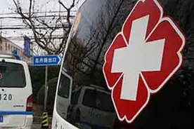 媒体：一名北京地接导游在颐和园中暑送医，经抢救无效死亡图片