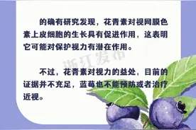 小小蓝莓，功效真的有那么神吗？图片