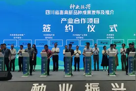四川畜禽种业创新取得历史性成就图片