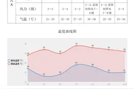 闪电气象吧丨泰安将有中到大雨局部暴雨 伴有雷电图片