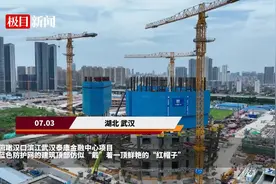 5天一层楼  新版“空中造楼机”亮相武汉图片