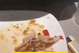 视频｜半天妖吃出鱼钩事件结局，当事人：喝酒说错话，是个误会图片