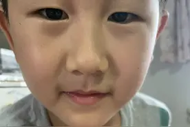 我的动物朋友｜烟台中小学生习作园地图片