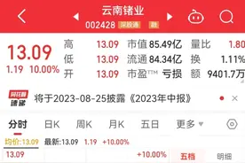 亚洲最大锗产品企业，一字涨停！涉半导体，占全球储量41%，我国为何要限制出口？专家解读图片