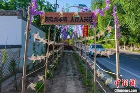 山西大宁因地制宜整合空闲土地   “小庭院”成增收“经济园”图片