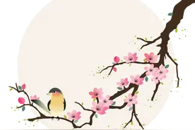 免费！暑期公益培训班开始招生！图片