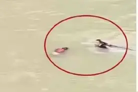 重庆巫溪八旬老太与他人吵架后跳桥坠河 消防救援人员：老太已不幸身亡图片