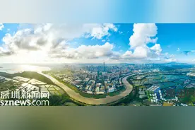 深圳首个！河套企业获批完成这项试点业务备案图片