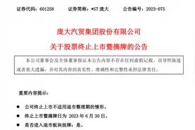 21深度丨庞大退市启示录图片