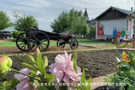 新华全媒+丨室韦有个考占花图片