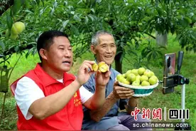 泸州纳溪：村支书变身“主播” 直播带货助农增收图片