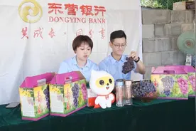 东营区大棚葡萄集中上市 各部门妙招“奇”出助销增收图片