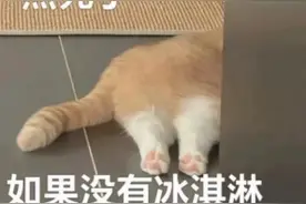 别光想着干饭，夏季警惕肠道传染病！图片