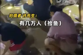 日照万人赶海一晚可捡百斤面条鱼，市民：一斤5元，炸食很美味图片