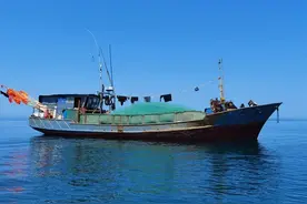 山东省农业农村厅：涉嫌涉渔“三无”船舶限期接受调查处理公告图片